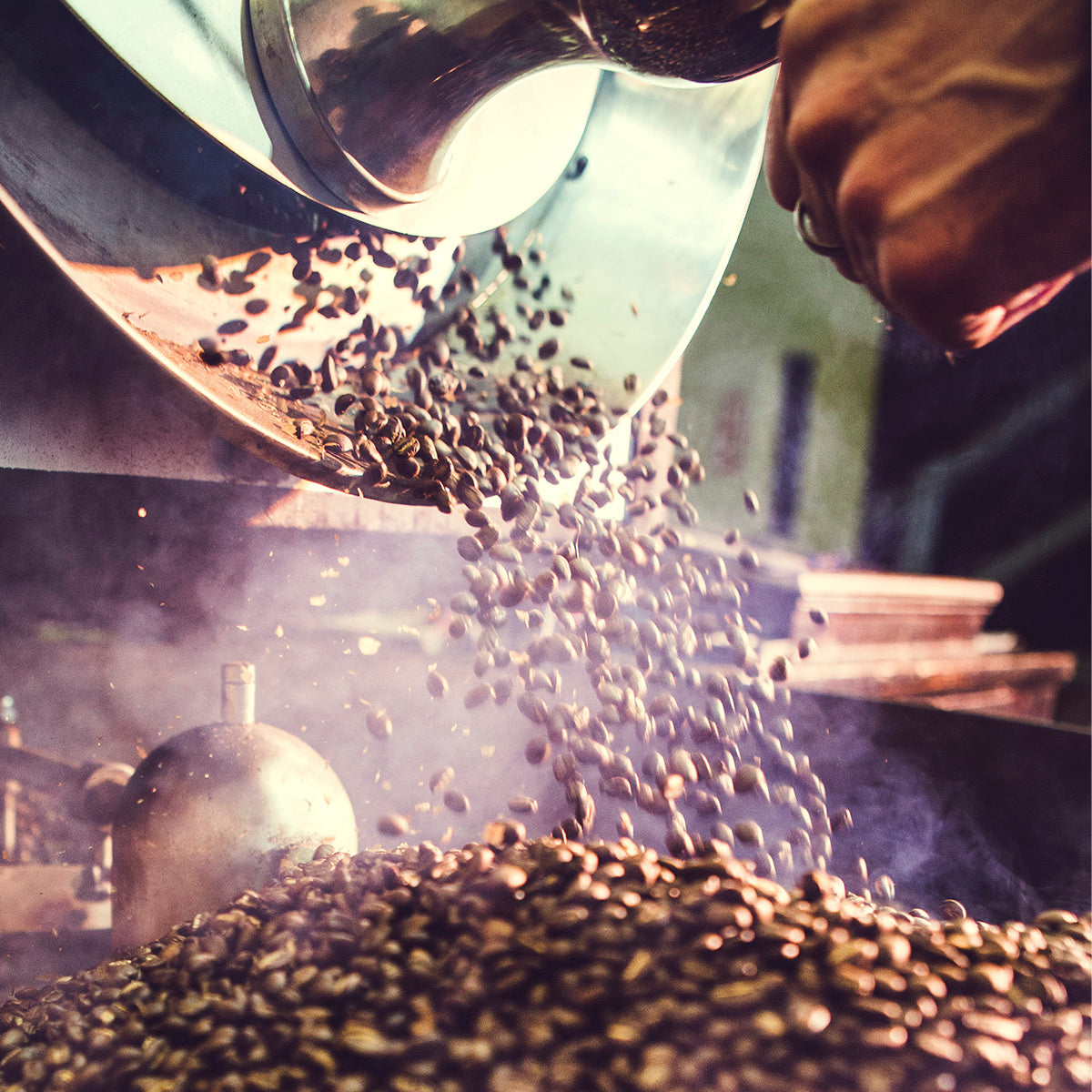 roaster - Mindset Coffee