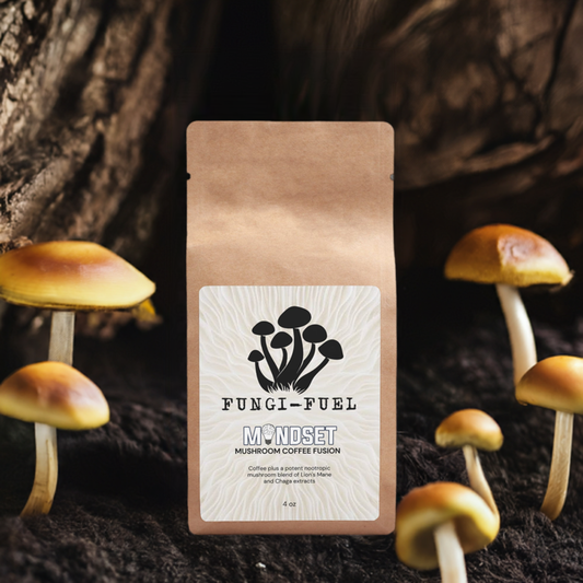 Mushroom Coffee Fusion - Lion’s Mane & Chaga 4oz